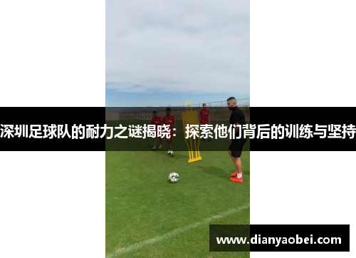 深圳足球队的耐力之谜揭晓：探索他们背后的训练与坚持