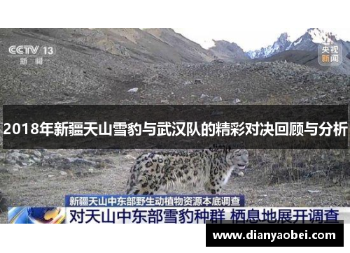 2018年新疆天山雪豹与武汉队的精彩对决回顾与分析